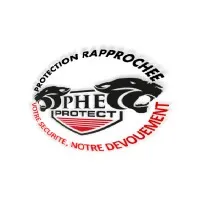 PHE PROTECT SECURITY logo