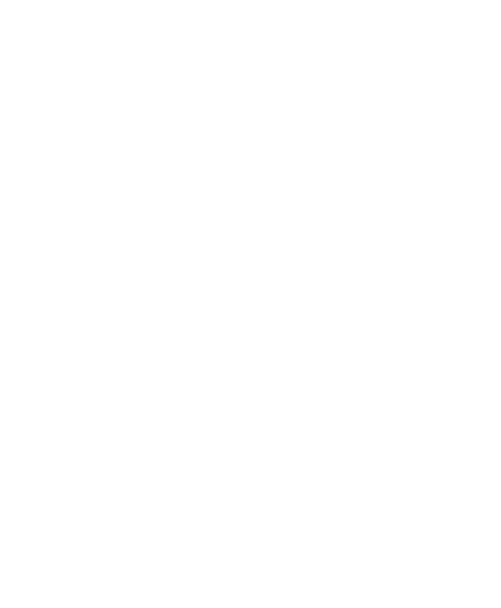 SELARL DULY logo