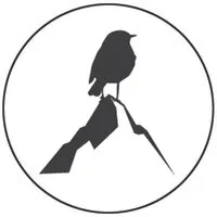 BIRD ON A STONE logo
