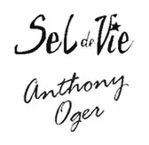 SEL DE VIE logo
