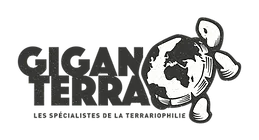 GIGANTERRA logo
