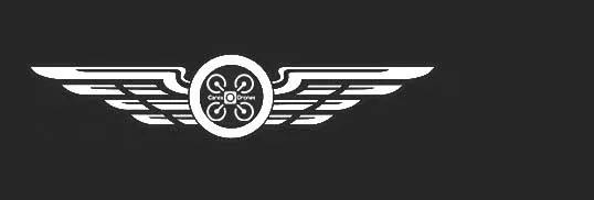 CARIBEENNE D'EXPERTISE ET DE DRONES (CAREX DRONES) logo