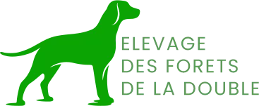 DES DRILLOUX logo