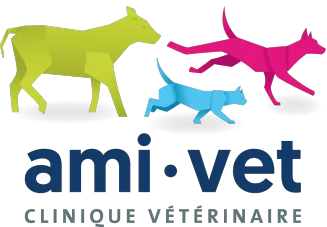 AMIVET logo