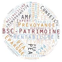 BSC-PATRIMOINE logo