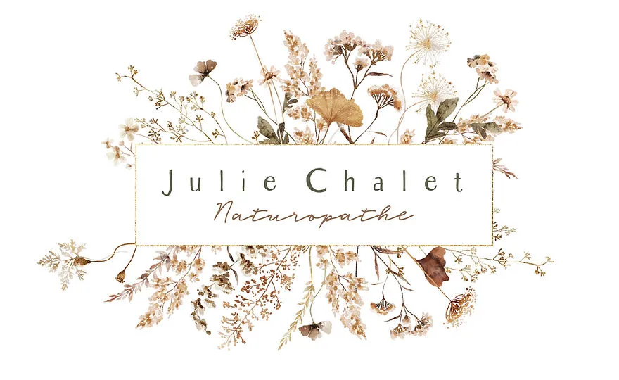 PETIT JULIE logo