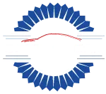 OP TIMAL CAR logo