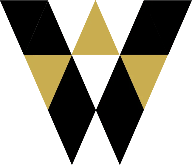 Voici le logo de la marque MASS qui représente son identité graphique.