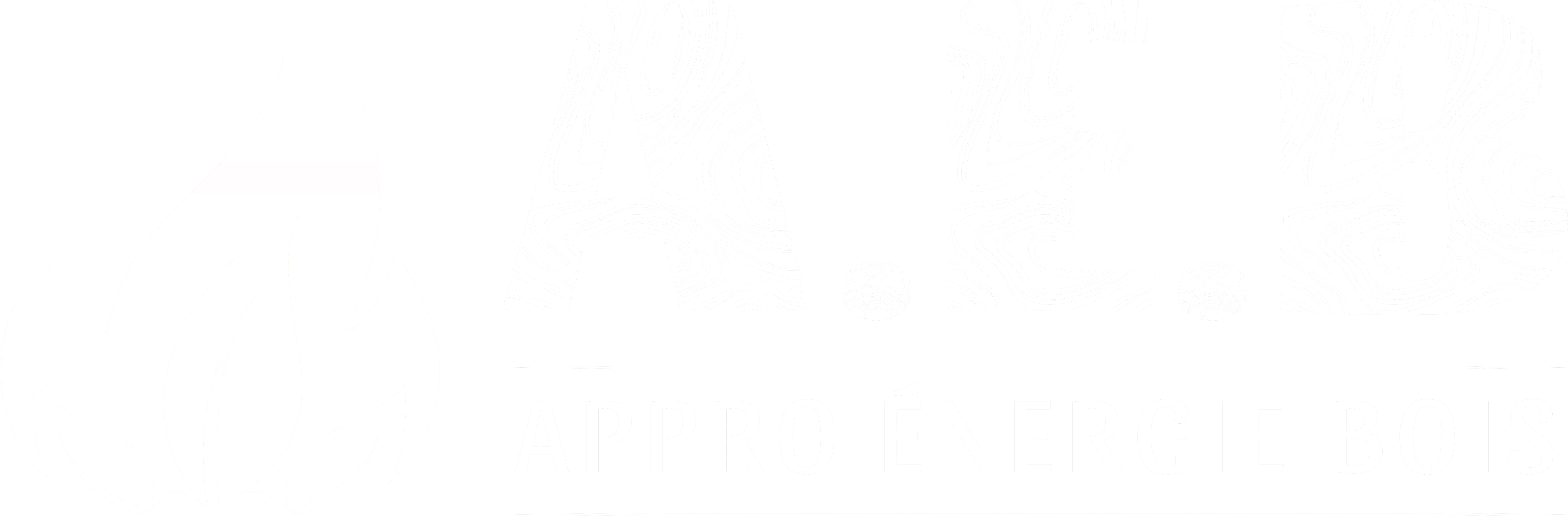 APPRO ENERGIE BOIS logo