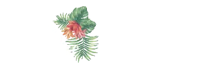PAILLOTE PARADISE logo