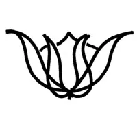 BLUE MANAGEMENT SAS logo