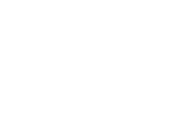 Voici le logo de la marque TTC - DAVID NAEGLE qui représente son identité graphique.