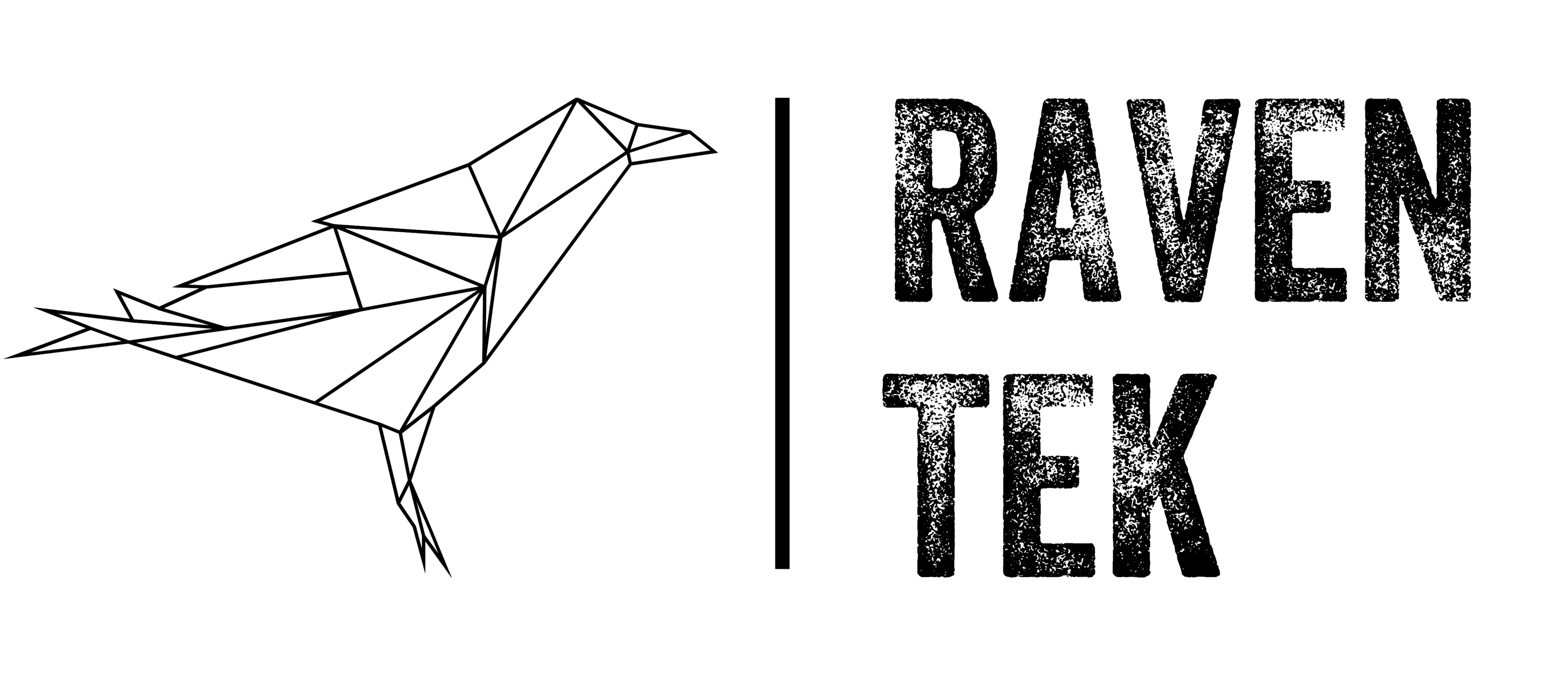 RAVEN TEK logo