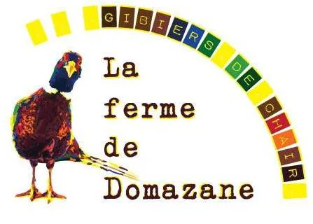Voici le logo de la marque FILLIT VINCENT qui représente son identité graphique.