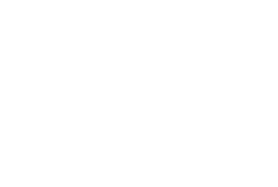 BOISSY LAETITIA logo