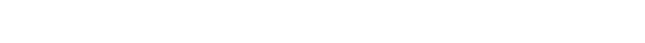 DAMIEN BIRET logo