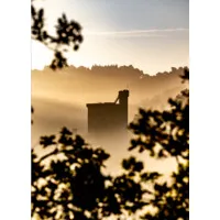 SAS CHATEAU DE COMMARQUE logo