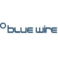 BLUE WIRE FRANCE logo