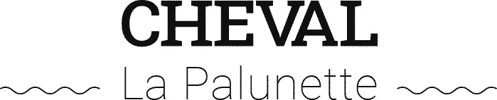 HOST SERVICES logo