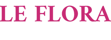 LA TABLE DE STEF logo