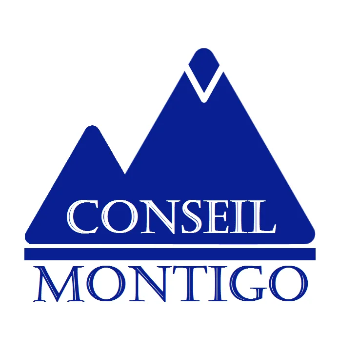 MONTIGO CONSEIL logo