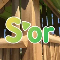 SARL S'OR logo