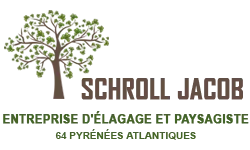 SCHROLL PETER logo