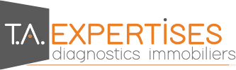TA EXPERTISES logo