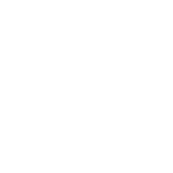 PULSING MUSIC logo