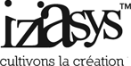 ICM CONSEILS logo