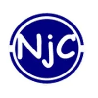 NJARY CONSULTING logo