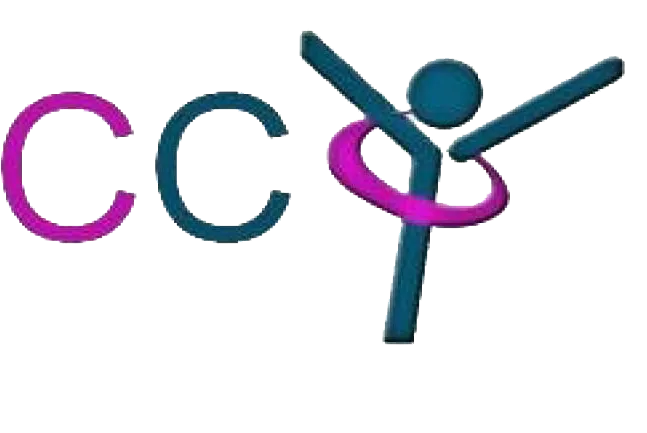 CENTRE CHIRURGICAL DE L'OBESITE (CCO) logo