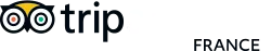 IMMERSIV logo