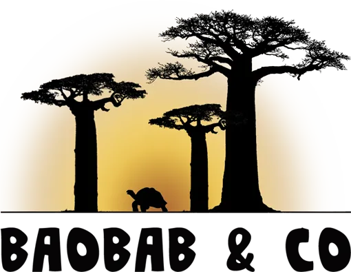 BAOBAB AND CO logo