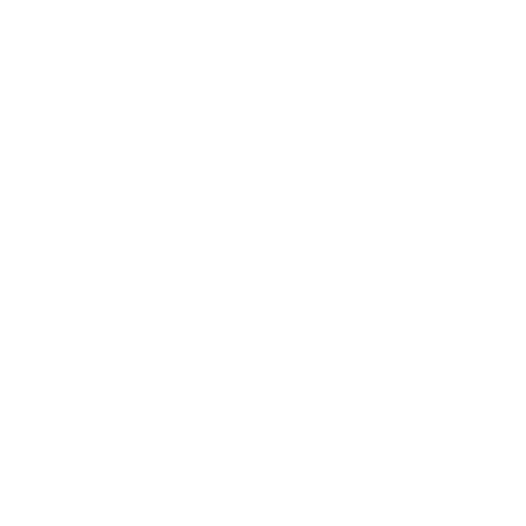 BRASSERIE ARTISANALE DU MAQUIS logo