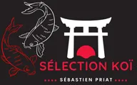 SP BOIS logo