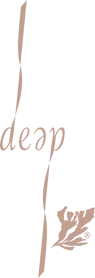 DEEP MV FRANCE logo