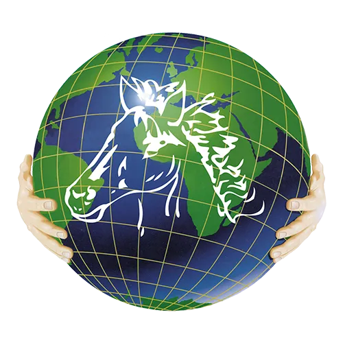 LOCARLIS logo
