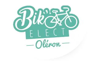 BIK'ELECT logo