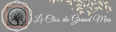LE CLOS DU GRAND MAS logo