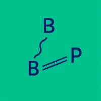 BIG BANG PROJECT logo