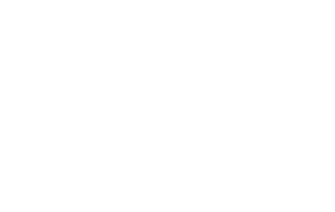 P&Z OPTIQUE logo