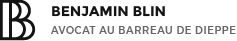 BLIN BENJAMIN logo
