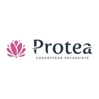 Voici le logo de la marque PROTEA CREATION qui représente son identité graphique.