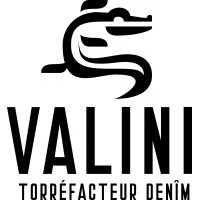 VALINI logo