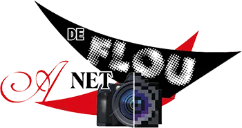 DE FLOU A NET logo