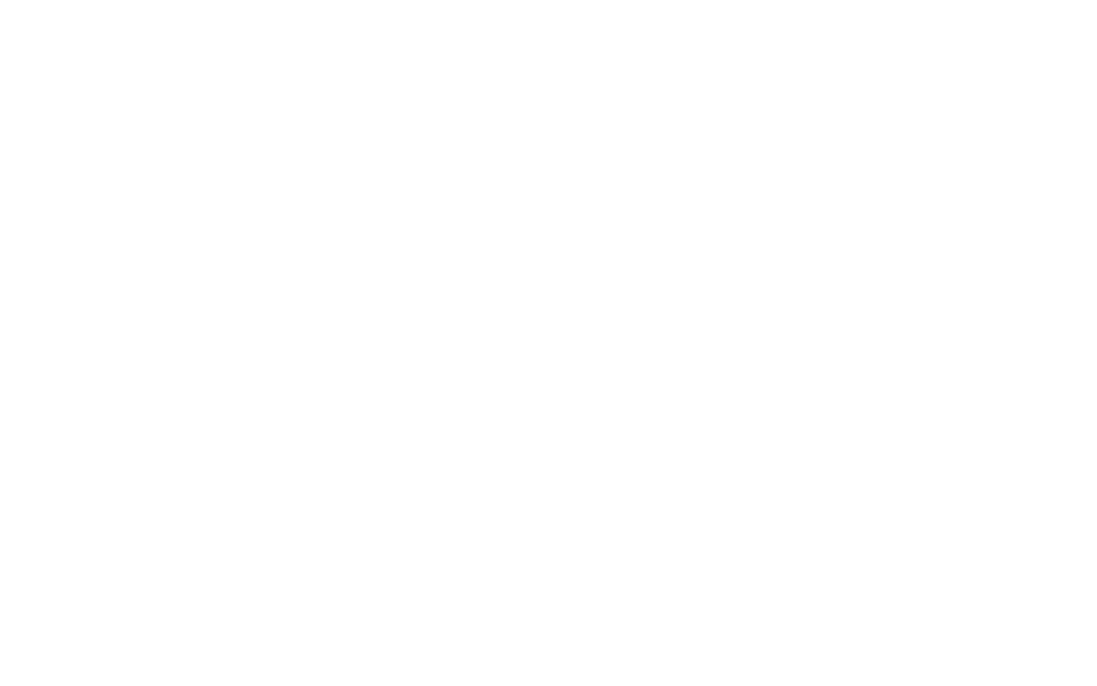 BRULE SYLVAIN logo