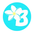 BORA BORA logo