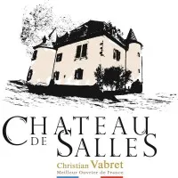 CHATEAU DE SALLES - CHRISTIAN VABRET logo