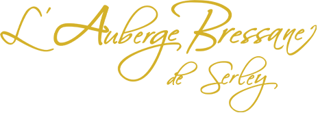 CHANEL PIERRE logo